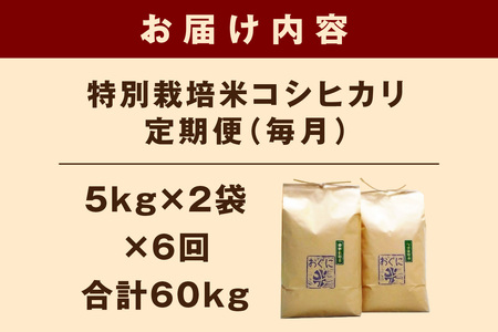 【定期便】【令和7年産】浜田市金城町産コシヒカリ「おぐに米」10kg定期便（6回コース）特別栽培米 定期便 10キロ 6回 米 お米 こしひかり 白米 特産品 お取り寄せ 精米 小分け 【071_20