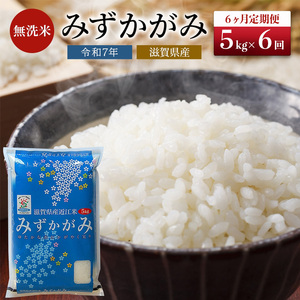 お米 みずかがみ 5kg BG無洗米 定期6ヶ月 お米