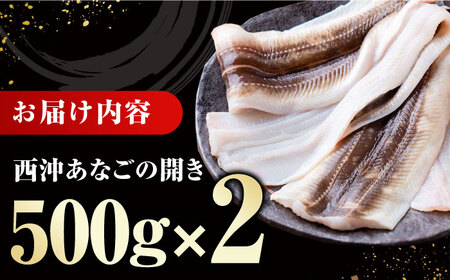 対馬産 天然あなごの開き500g×2《対馬市》【すし処慎一】国産 肉厚 穴子 アナゴ 新鮮 冷凍 白焼き 天ぷら 揚げ物 贈り物[WCO002]
