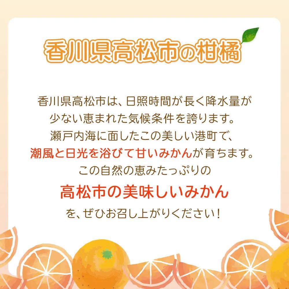 瀬戸内温州みかん（2L～Mサイズ混合）約2.5kg【10月中旬～1月下旬配送予定】 | みかん