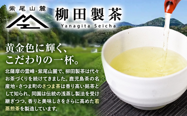 若蒸煎茶 ティーバッグ 上煎茶 紐なし 30p 柳田製茶《30日以内に出荷予定(土日祝除く)》鹿児島県 さつま町 おうち時間 ティータイム 水出し セット 煎茶 緑茶 日本茶 ギフト