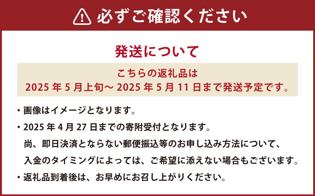 《母の日》 マスクメロン1玉とカーネーション1鉢