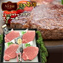 【ふるさと納税】 A5等級 福岡県産 博多和牛 ヒレ×シャトーブリアンステーキ 4枚 520g 送料無料 A5ランク ステーキ 黒毛和牛 和牛 牛肉 高級 お中元 お歳暮 贈り物 プレゼント ギフト LZ001