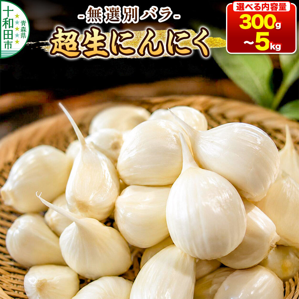 【ふるさと納税】超生にんにく 無選別バラ【選べる内容量：300g／500g／1kg／2kg／5kg】 青森県産 [稀少 ニンニク 直送 高糖度 甘い]