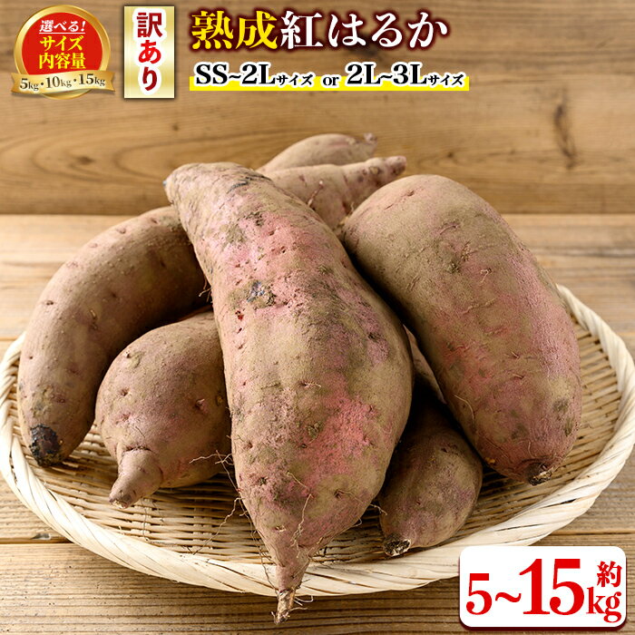【ふるさと納税】＜サイズ・内容量が選べる！＞《訳あり》熟成紅はるか(約5kg～15kg・SS〜2Lサイズ混合 or 2L〜3Lサイズ混合) 訳あり さつまいも 紅はるか 鹿児島 生芋 完熟 長期熟成 土付き べにはるか サツマイモ 焼き芋に 【いさ工房】