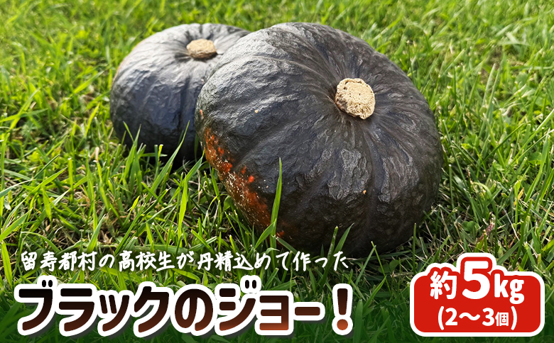 留寿都村の高校生が丹精込めて作ったブラックのジョー！【23003】