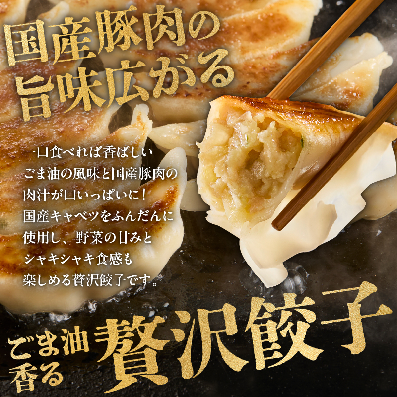 餃子　40個×4袋セット 餃子 中華 国産 豚肉 鶏肉 焼き餃子 揚げ餃子 水餃子 セット ランチ ディナー