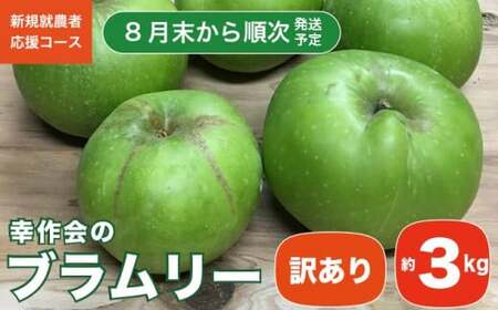 【訳あり】 ブラムリー 約3kg ［新規就農者応援コース 幸作会］長野県産 令和8年産【2026年8月末から順次発送】 ［KH-52］