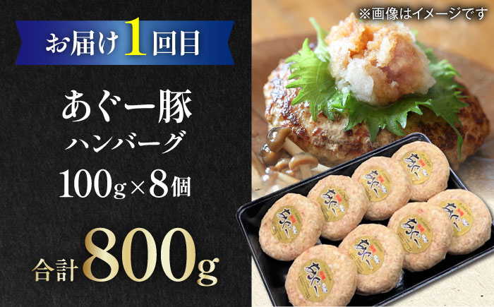 【全6回定期便】家族で満喫！沖縄のお肉贅沢セット【沖縄市】ハンバーグ あぐー 石垣牛 ステーキ 焼肉 冷凍 ギフト お取り寄せ 沖縄市 / お肉屋本店 / 豚々茶舗 / TESIO / 肉のサブロー 