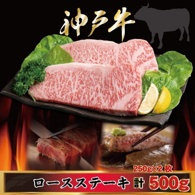 神戸牛 ロースステーキ 250g×2枚 計500g AGST5 【2026年4月より順次発送】【配送不可地域：離島】【1682464】