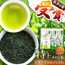 【ふるさと納税】【お中元対象】（日本茶AWARD2017大賞受賞）そのぎ茶 (特上) 100g×3袋入り 茶 お茶 緑茶 日本茶 茶葉 東彼杵町/岡田商会 [BCS001]