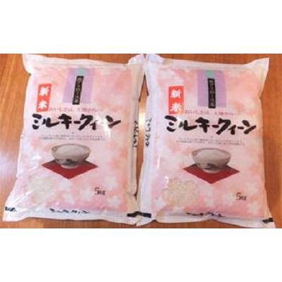 ふるさと納税 近江八幡市 【令和7年産】近江米ミルキークイーン　精米　5kg×2袋 |  | 01