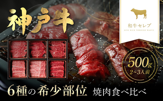 【和牛セレブ】神戸牛6種の希少部位焼肉食べ比べ500g 兵庫県 朝来市 AS33D31