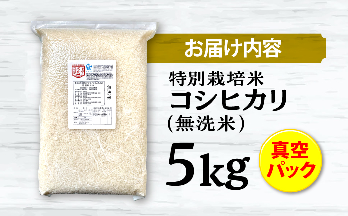特別栽培米コシヒカリ 真空パック白米（無洗米）5kg お米 こしひかり ご飯 コシヒカリ おこめ 三次市/小川モータース [APCH001]