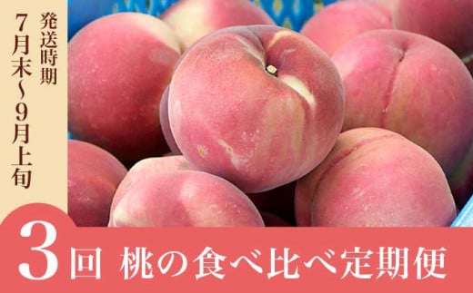 【3回定期便】小布施屋の 桃食べ比べ定期便 約1.8kg×3回 ［小布施屋］ 桃 もも モモ フルーツ 果物 冷蔵便 クール便 長野県産 令和8年産【2026年7月末～9月上旬発送】