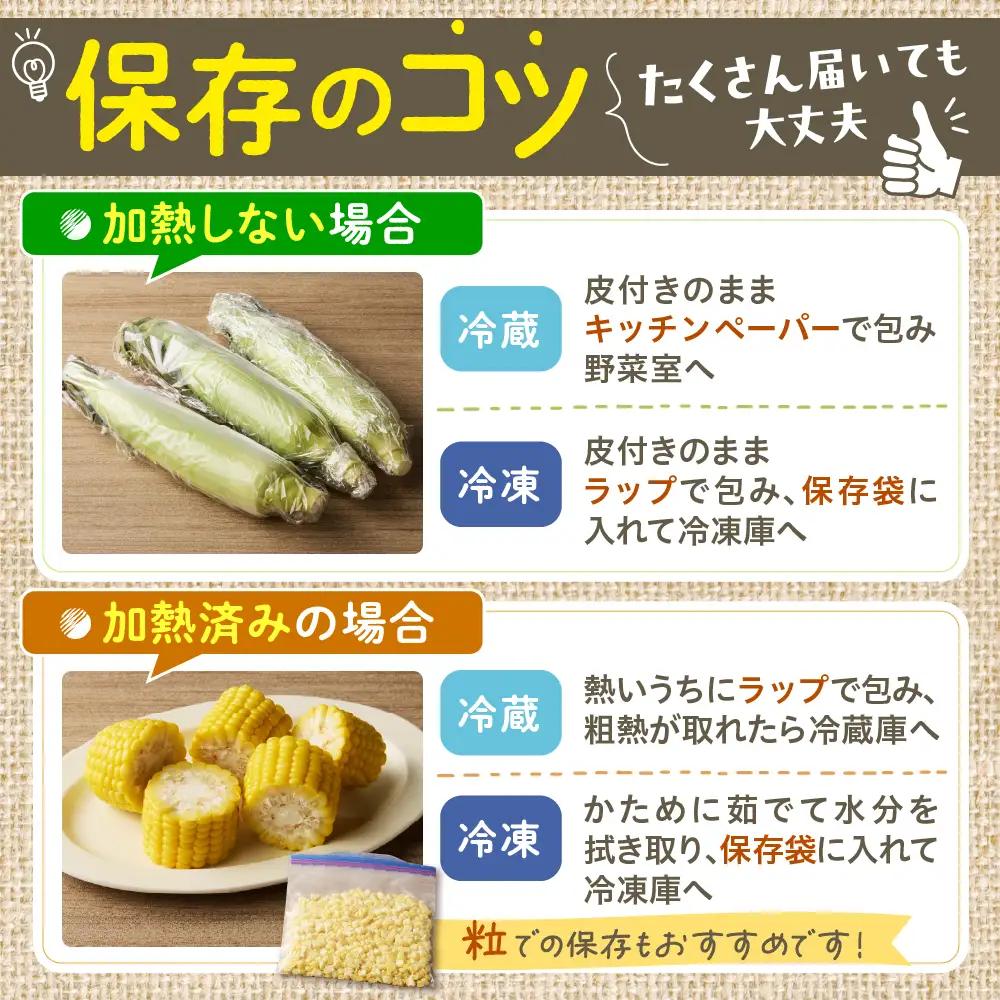 とうもろこし ゴールドラッシュ 13本 2L 5kg スイートコーン