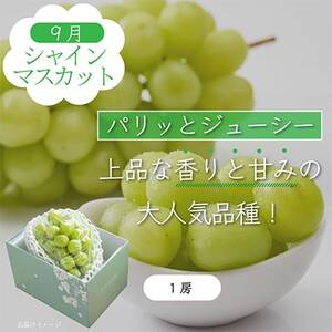 【発送月固定定期便】山梨県産旬の大人気フルーツ【桃・巨峰・シャインマスカット】お試し定期便 全3回【配送不可地域：離島・沖縄県】【4013021】