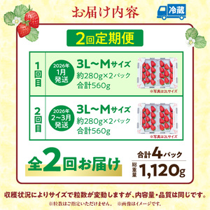 【1～3月発送】高級いちご「古都華」　2回定期便