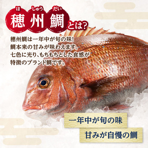 渡邉水産・海鮮定期便（12回）／ 真鯛 定期便【Z073】
