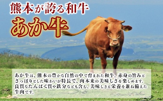 【定期便2回】希少な和牛ホルモン！ 熊本和牛 あか牛 ホルモン 500g (250g×2パック) × 2回 もつ鍋 焼肉 肉 牛肉 もつ コラーゲン 冷凍 小分け 熊本県 水上村