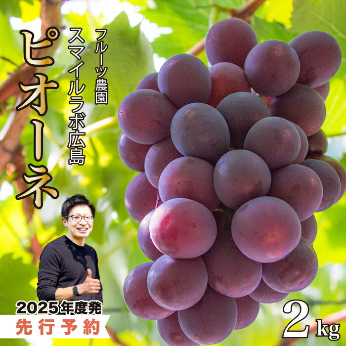 【ふるさと納税】【先行受付】ピオーネ2kg ブドウ 葡萄 ピオーネ 新鮮 産地直送 広島県三原市 【2025年9月から順次発送】059002