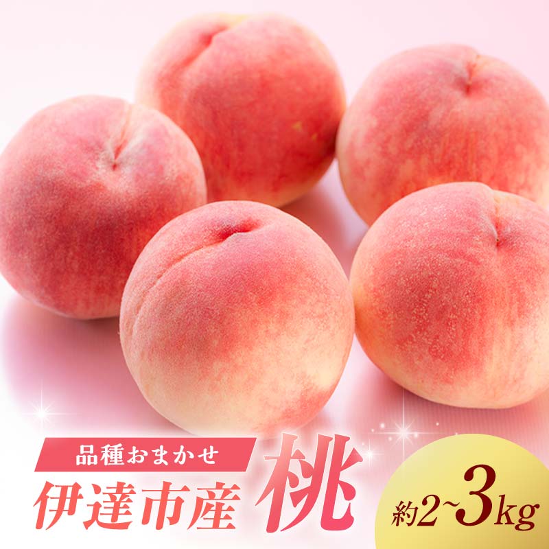 【ふるさと納税】伊達市産 桃好き必見！ 《容量が選べる！》品種おまかせの桃 約2kg / 約3kg 2025年9月上旬～2025年10月中旬頃出荷 伊達の桃 桃 もも モモ 名産品 果物 くだもの フルーツ 国産 産地直送 F21C-220var
