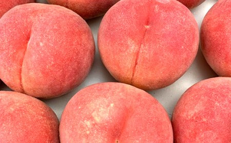 《先行予約 2024年発送》～わたしのオススメ～山形産もも2kg「玉うさぎ」 FSY-0174