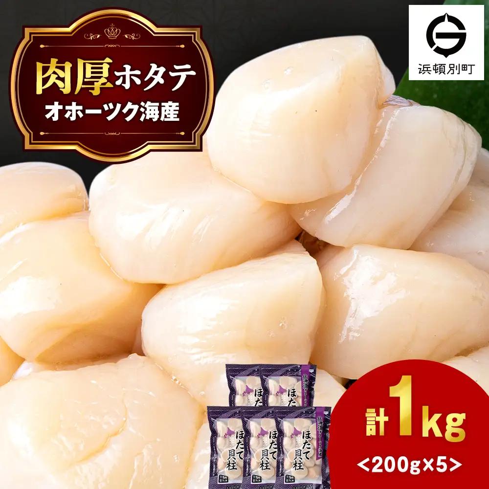 ほたて 貝柱 冷凍 200ｇ(15粒前後)×5パック 小分け お取り寄せ 刺身 《横田水産》