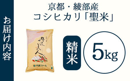 「丹波美人」白米 5kg | 米 お米 こしひかり 白米 精米