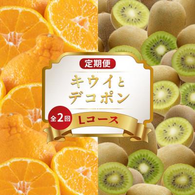 ふるさと納税 丸亀市 【発送月固定定期便】フルーツ定期便 Lコース (キウイっこ デコポン)全2回