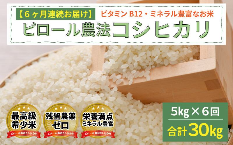 
【6ヶ月連続お届け】 ピロール農法 コシヒカリ 5kg（5kg × 1袋）× 6回 計30kg 真空パック [I-08201]
