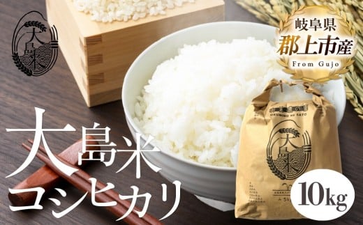 「精米」大島米10㎏　令和7年産 食品  米 雑穀  白米 29000円 G0080b