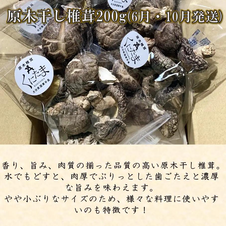 【先行予約】原木生椎茸と干し椎茸の定期便 計3回発送 しいたけ シイタケ 国産 大分県_2768R-2