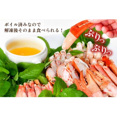 ふるさと納税 気仙沼市 大人気!リピーター続出 まるずわいがに 肩脚肉 総重量3kg 9-15肩相当 20563327 |  | 02