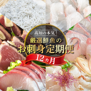 定期便 12回 美味しい 小島水産 お刺身 コース | 魚介定期便 海鮮定期便 12ヶ月定期便 お刺身定期便