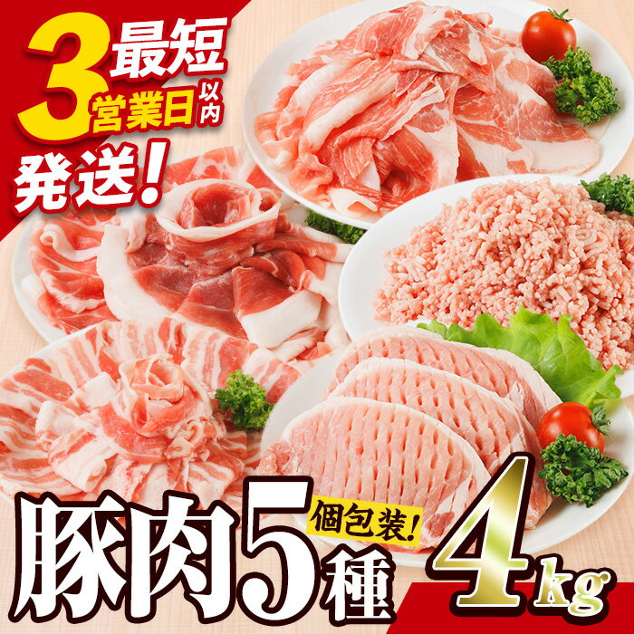 【ふるさと納税】 ＼3営業日以内発送／ 豚肉 バラエティーパック (合計4kg・5種) 小分け 切り落とし しゃぶしゃぶ ロース こま切れ バラ ミンチ スピード発送 発送月が選べる【BD325】【西日本畜産】