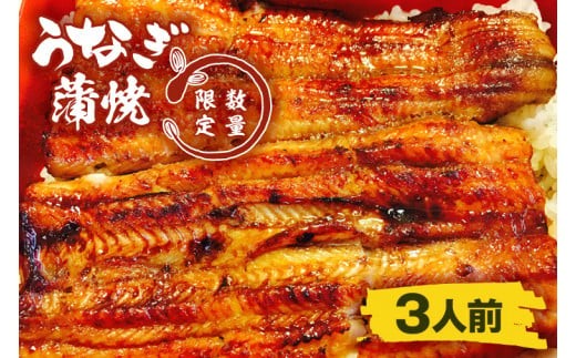 【蒲焼割烹 ぬりや】うなぎ蒲焼（真空パック）３人前 【鰻 ウナギ うなぎ　土用丑の日 土用 丑の日 かば焼き 蒲焼き 国産 うなぎ蒲焼 老舗】 （GW-4）