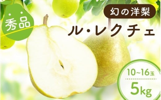 
            南信州産 ル・レクチェ 洋梨 約5kg 秀品 10～16玉 | ル・レクチェ 洋ナシ 洋梨 洋なし 梨 果物 フルーツ ふるさと納税 長野県 飯田市
          