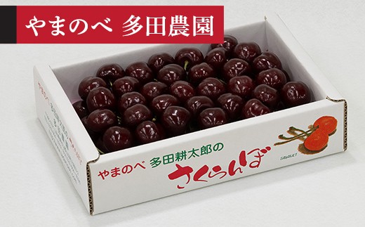 【令和8年産】 サミット バラ詰 700g やまのべ多田耕太郎のさくらんぼ F2Y-4568