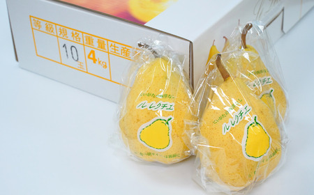 ル レクチエ 4kg (7～12個) 令和7年度 洋梨 新潟県産 ル・レクチェ 洋梨の貴婦人 【019S025】