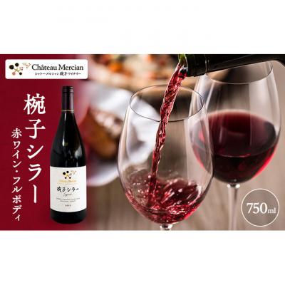 ふるさと納税 上田市 椀子シラー 750ml シャトー・メルシャン シラー 赤ワイン[54040420]