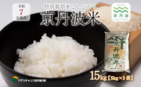 特別栽培米 こしひかり 京丹波町産 15kg 令和7年産米 【米  白米 新米 お米】 [024AGC001]