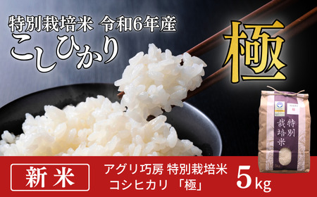 特別栽培米 コシヒカリ 「極」 5kg 令和6年産 こしひかり 新潟県認証 精米 白米 アグリ巧房【012S076】