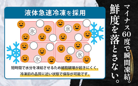鹿児島県産 アマダイ 干物 (中サイズ1枚入り)×2パック ≪合計2枚≫［25センチ前後］PT-7 | 開き 大隅干し 冷凍 国産 鯛 甘鯛 ひもの 海鮮 新鮮 瞬間冷凍 産地直送 加工品 朝ご飯 お