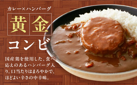 ハンバーグカレーセット 16食入り[AGDT030] ハンバーグ