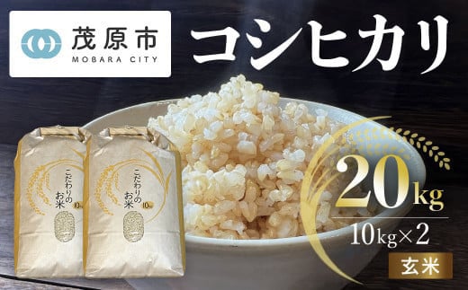 新米 令和7年産 千葉県茂原市産 コシヒカリ  玄米20kg(10kg×2) 【ふるさと納税 おすすめ 人気 ランキング お米 米 精米 コシヒカリ 玄米 千葉県 茂原市】 MBAM009