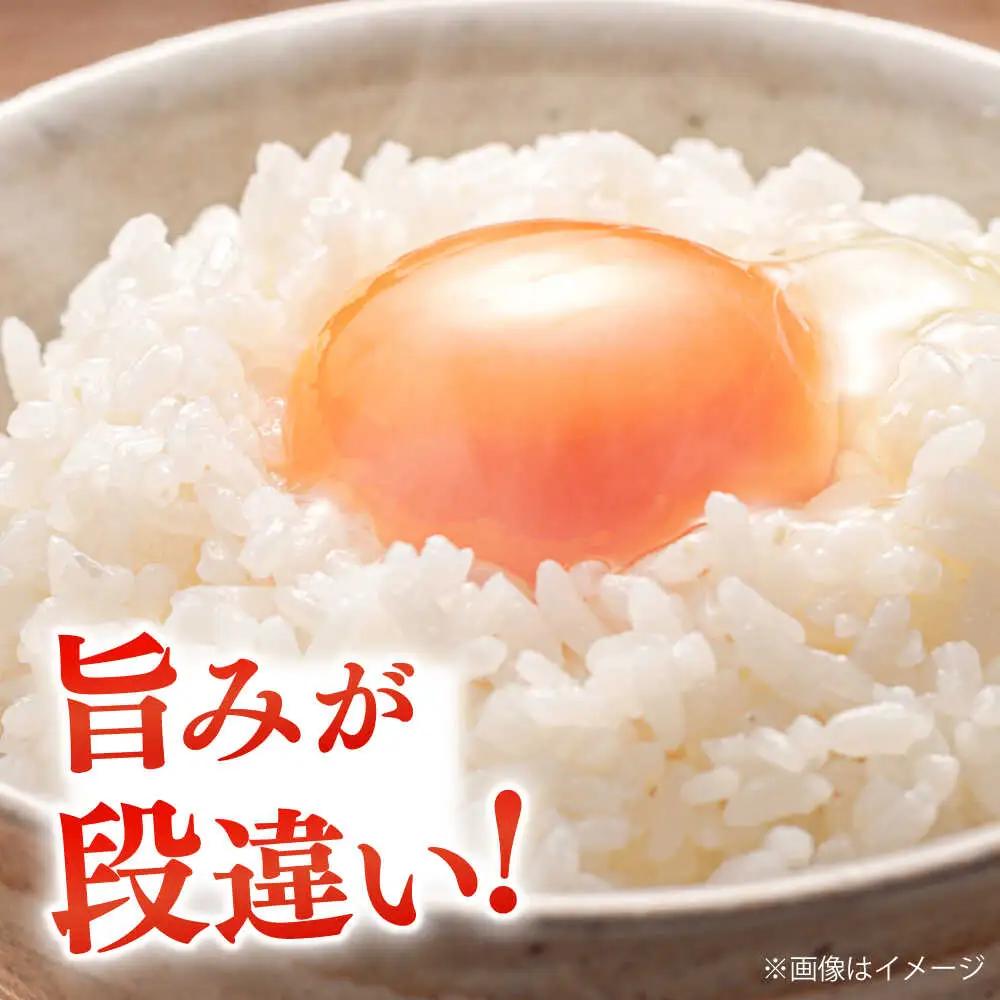 仁多米「大峠源流米」5kg（5kg×1）米[ALCG006]  白米