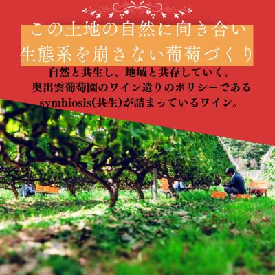 ふるさと納税 雲南市 杜のワイン赤 750ml×4本 辛口ワイン 赤ワイン4本セット |  | 02