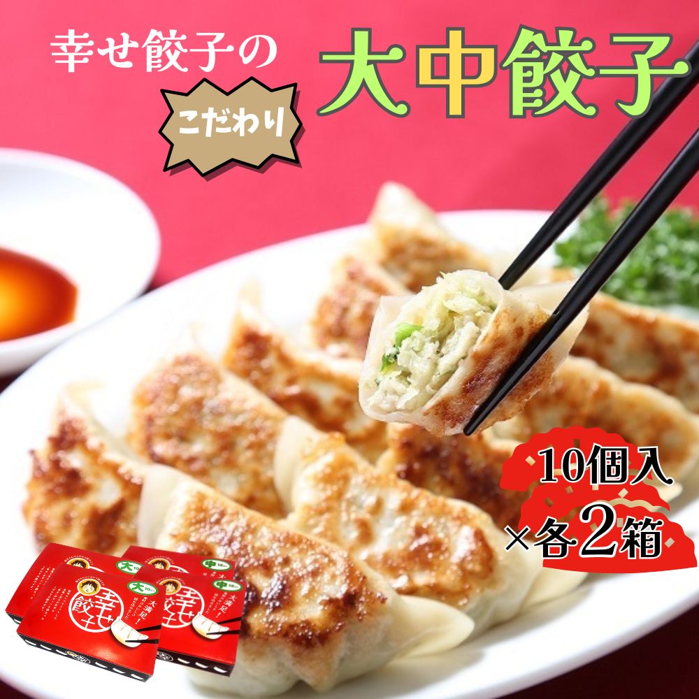 【ふるさと納税】ボリューム満点こだわり大・中餃子(4箱)【配送不可地域：離島・沖縄県】【1332559】