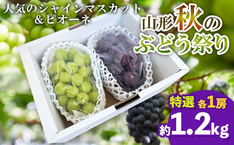 
                  山形秋のぶどう祭り【シャインマスカット・ピオーネ 特選 2房】【令和9年産先行予約】FS25-108 くだもの 果物 フルーツ 山形 山形県 山形市 2027年産
                